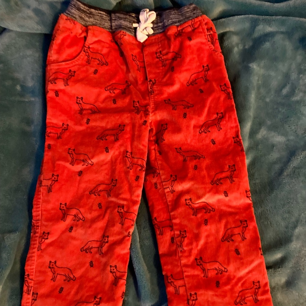 Cozy Orange Cordiroy Lined  Fox Pants